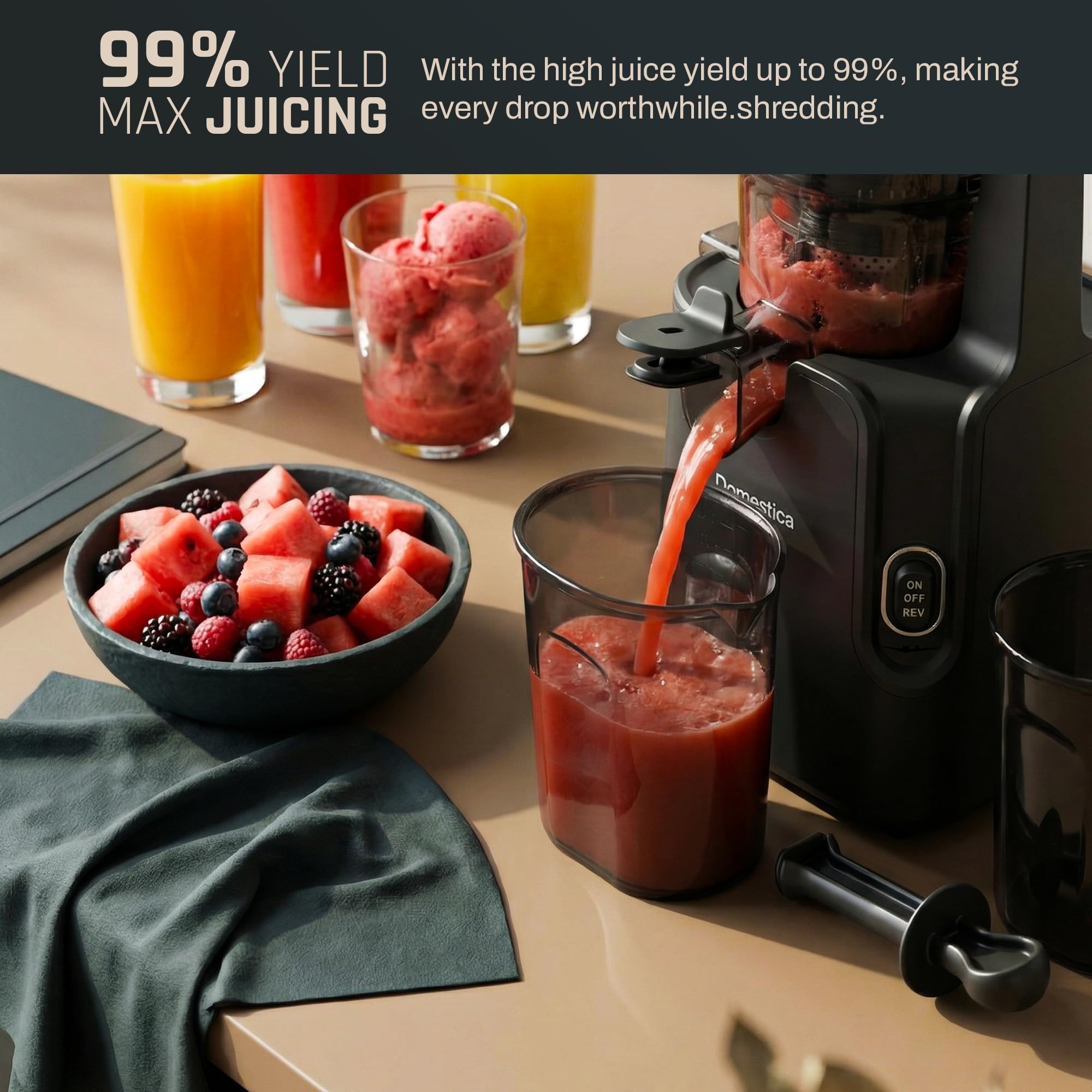 Dripdrop Pro Cold Press Juicer
